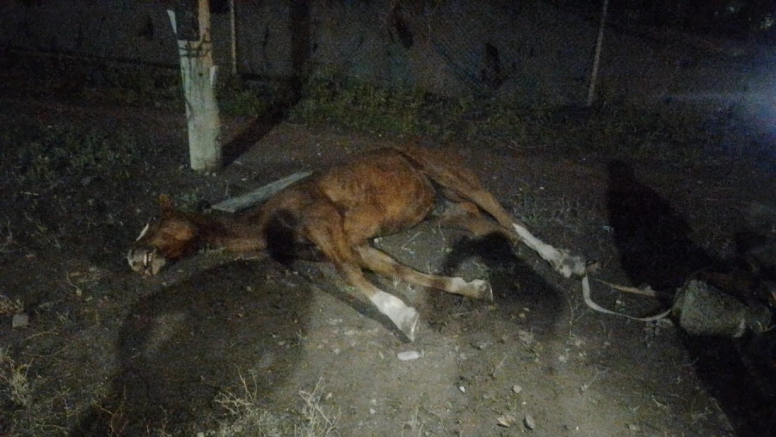 Murió electrocutado